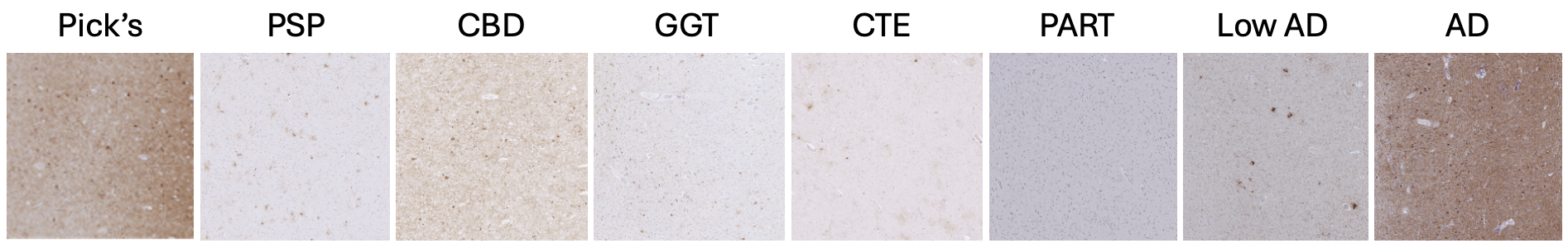 Low magnification examples